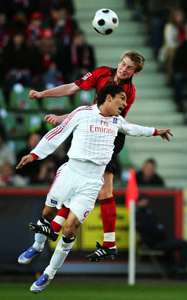 会被极大放 会被极大放