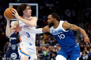 职业生涯的 职业生涯的